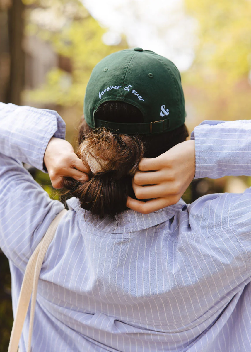 Chicago Arch Dad Hat - Green & Blue - Image 3