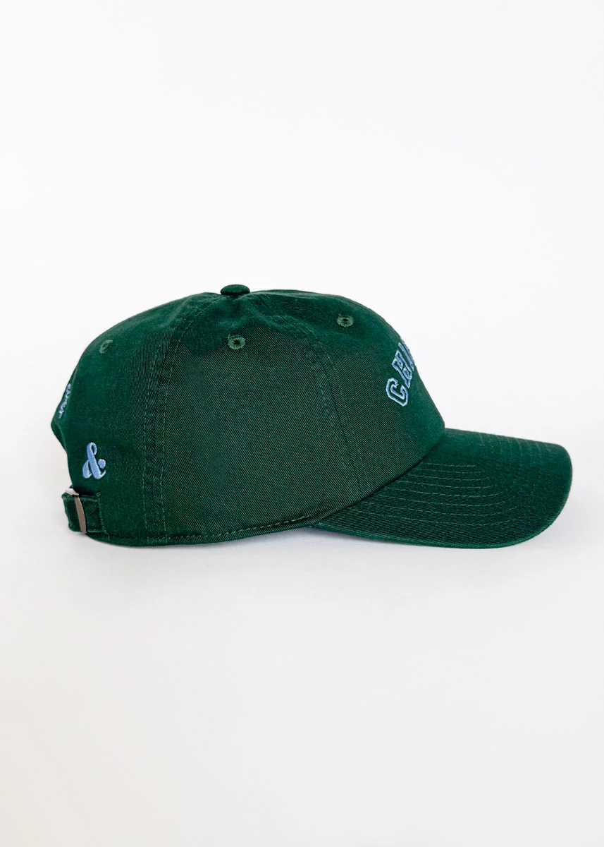 Chicago Arch Dad Hat - Green & Blue - Image 5
