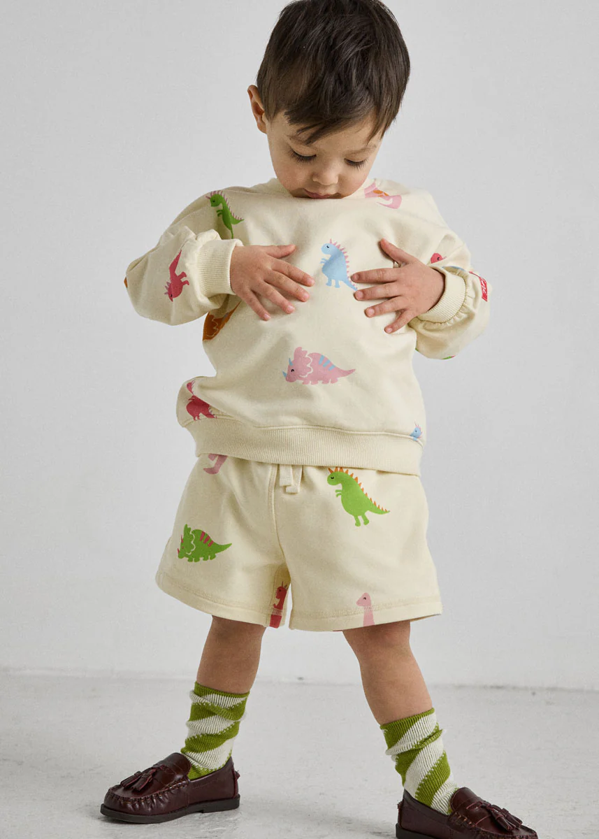 Dinosaur Terry Oversized Sweatshort Set