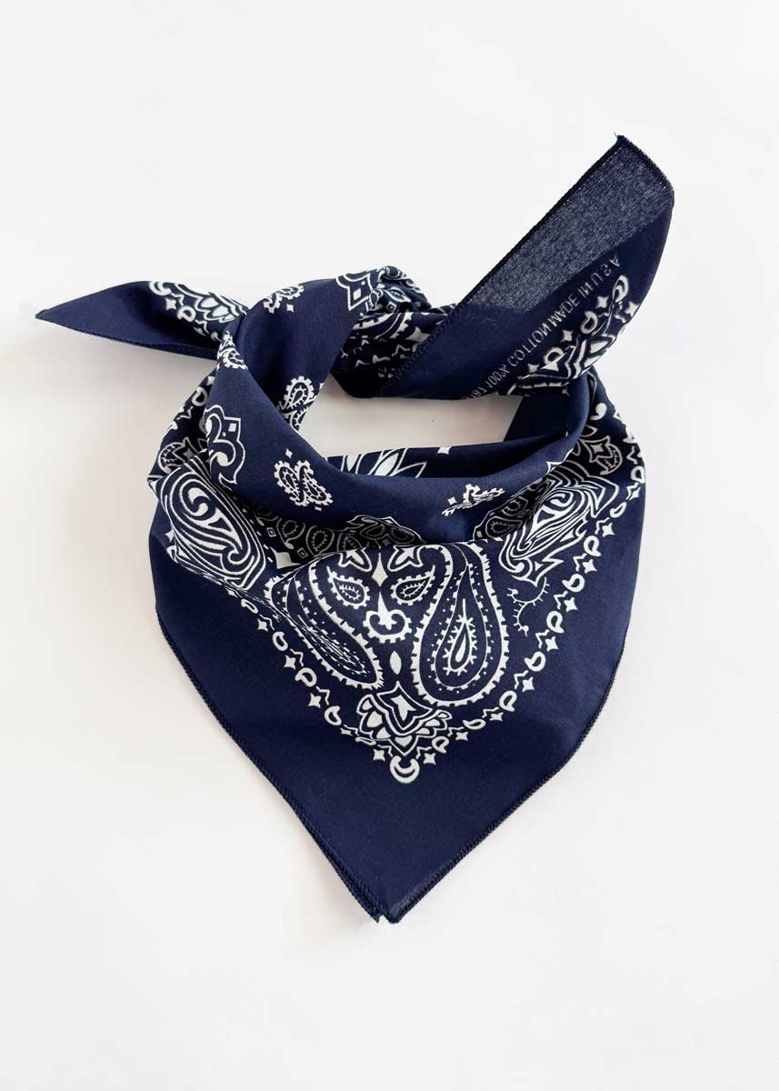 Embroidered Bandana - Navy Paisley - Image 3
