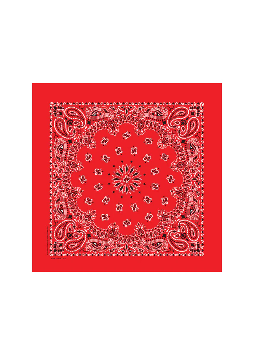 Embroidered Bandana - Red Paisley